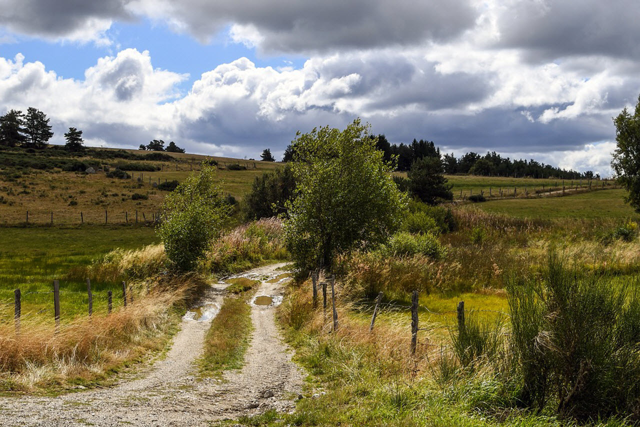 This image for Image Layouts addon